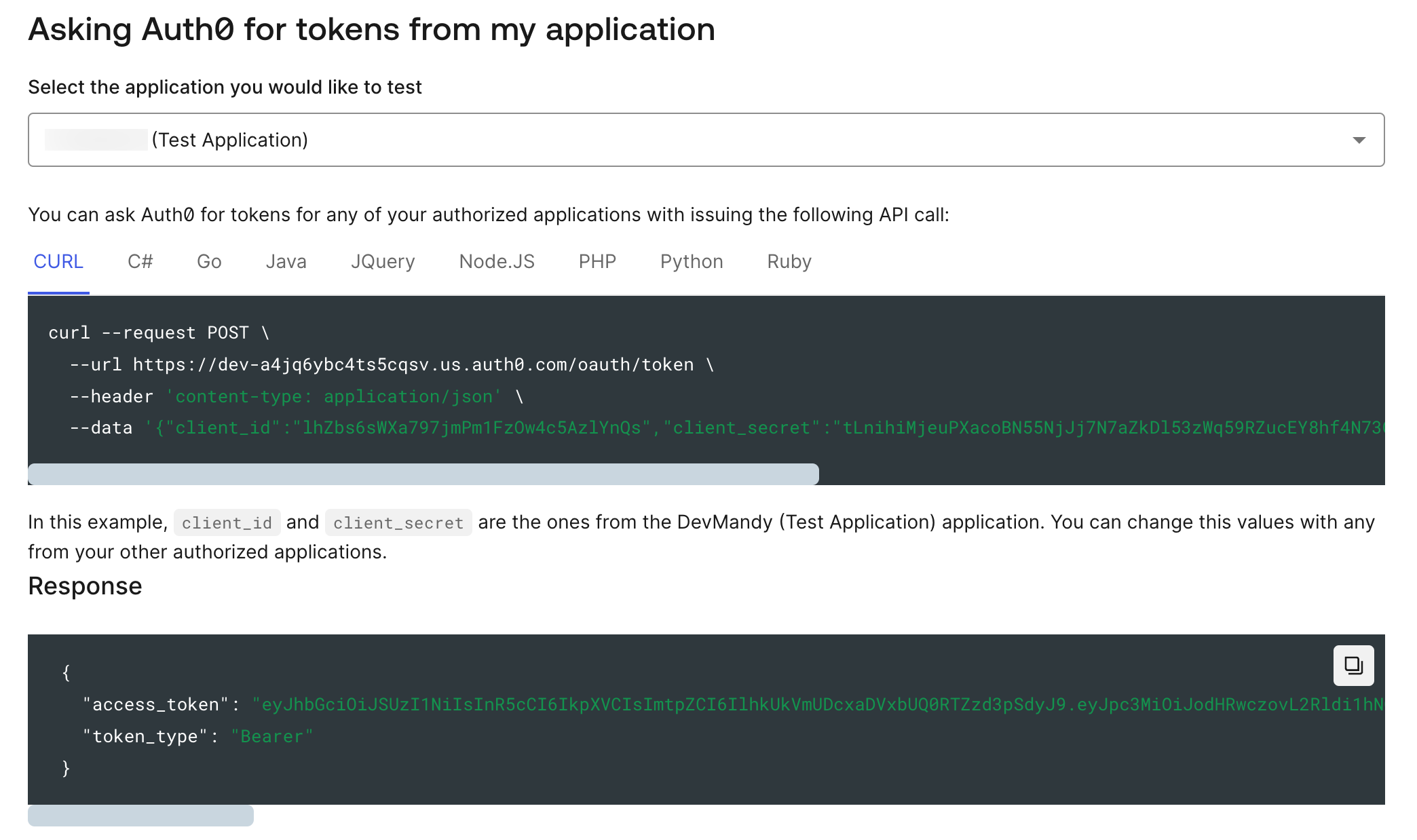 Auth0 Test JWT